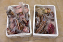 Boczek staropolski w przyprawach, pikantny 1000g Boczek staropolski w przyprawach, pikantny 1000g