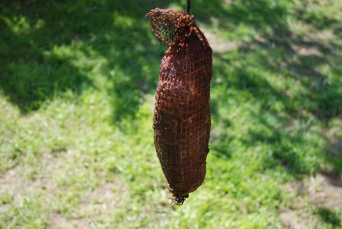 Karkówka Litewska wędzona na zimno około 500g Karkówka Litewska wędzona na zimno około 500g